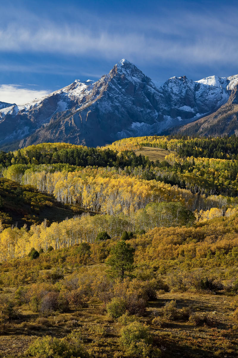 Dallas Divide Near Ridgway, CO #2894