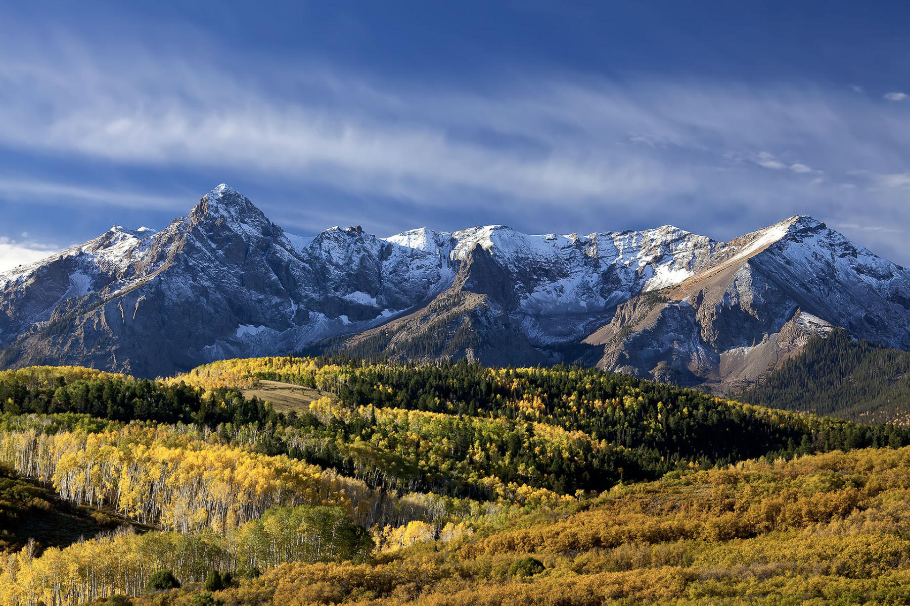 Dallas Divide near Ridgway, CO #2893