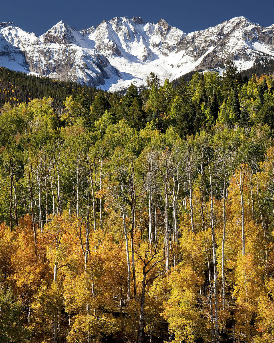 County Road 5-
Southwest Colorado #4970