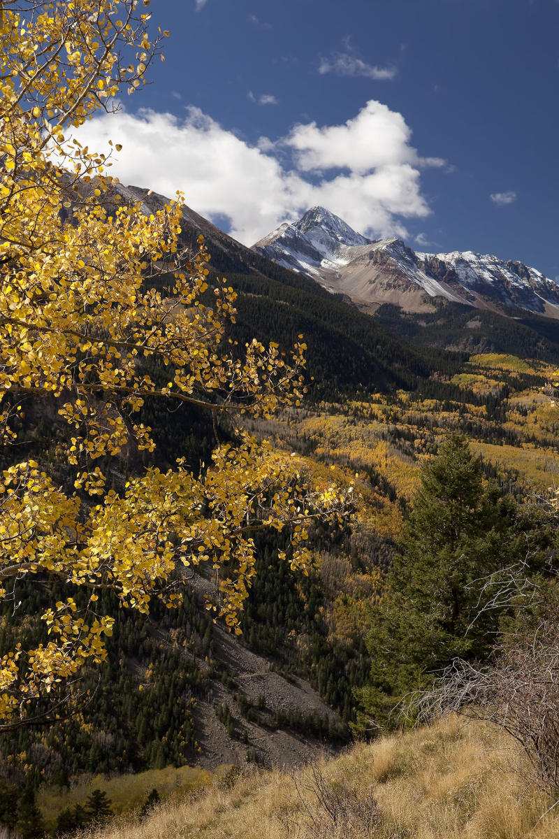 Wilson Peak Located in the Lizard Head wilderness southwest Colorado #3138