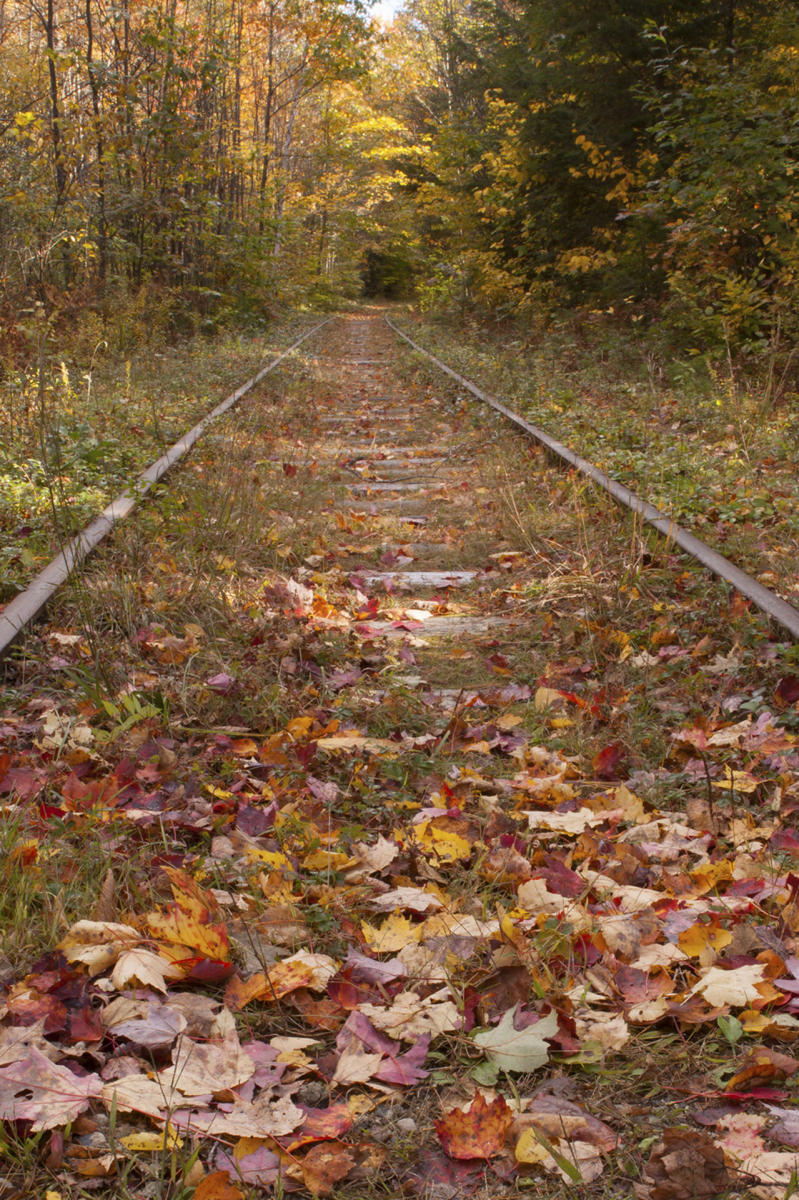 New Hampshire Tracks #2405