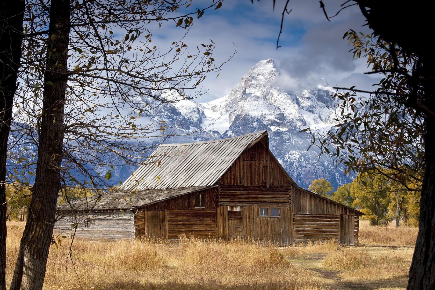 Morman Row Barn-Jackson, WY. #6248