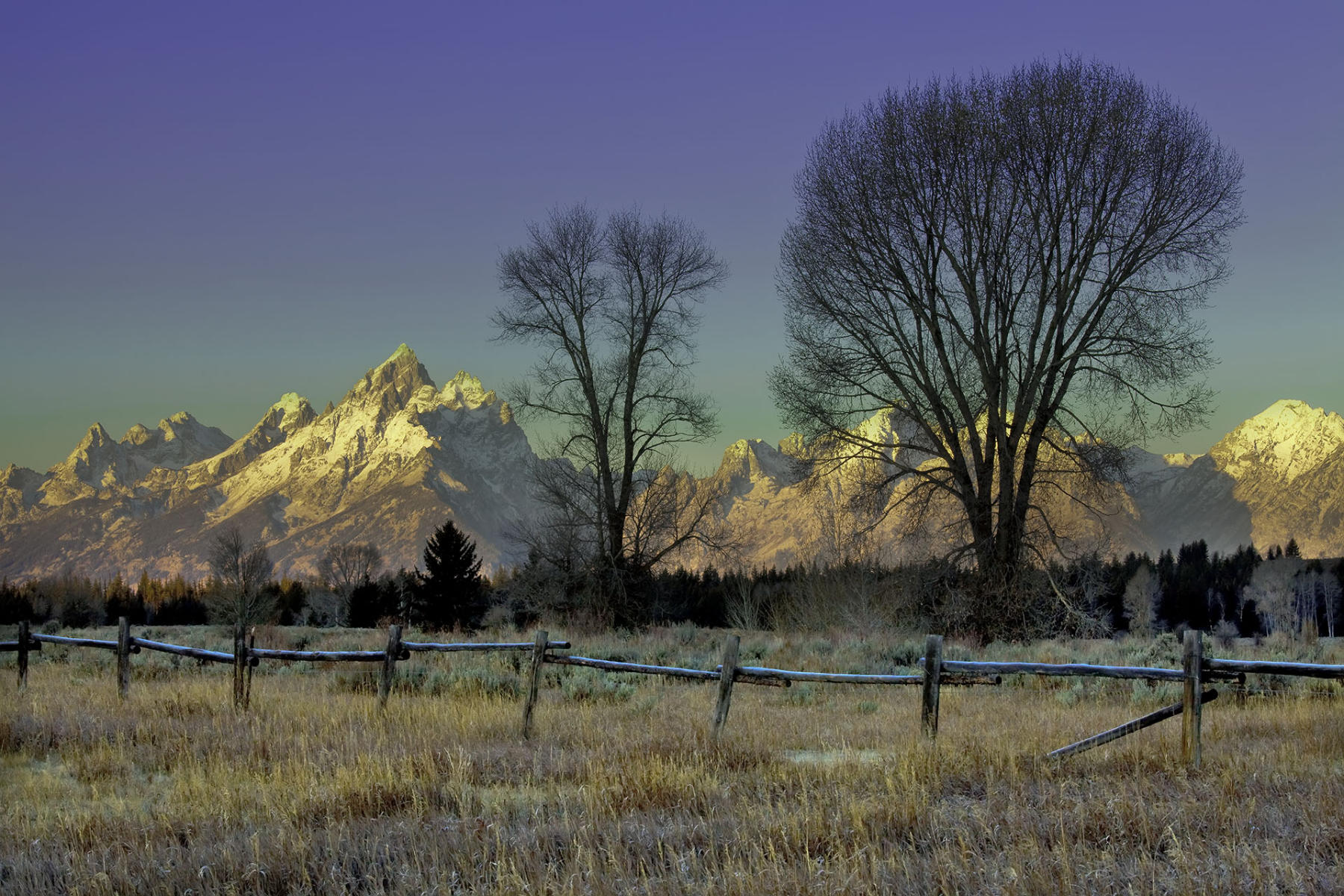 Silhouettes-Jackson, WY #9288 