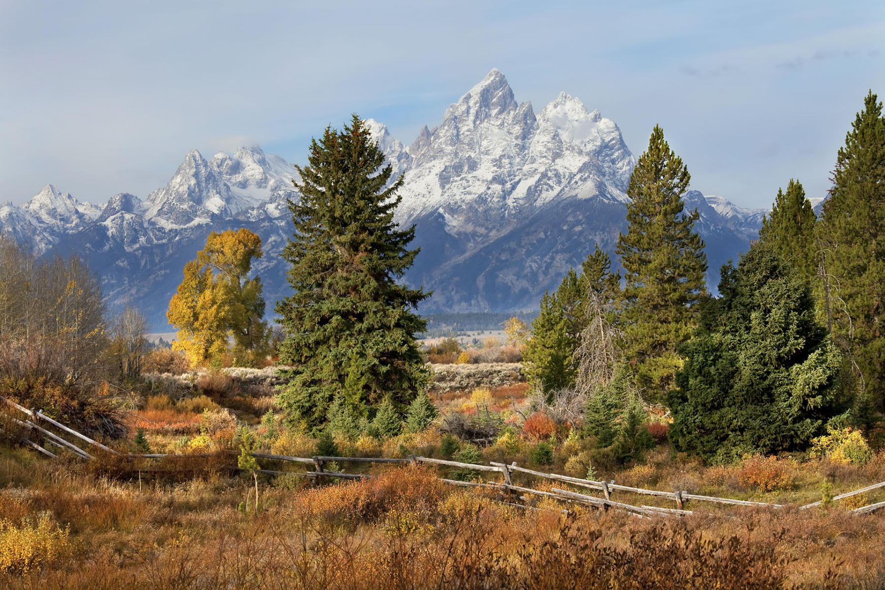 The Grand-Teton National Park #1106