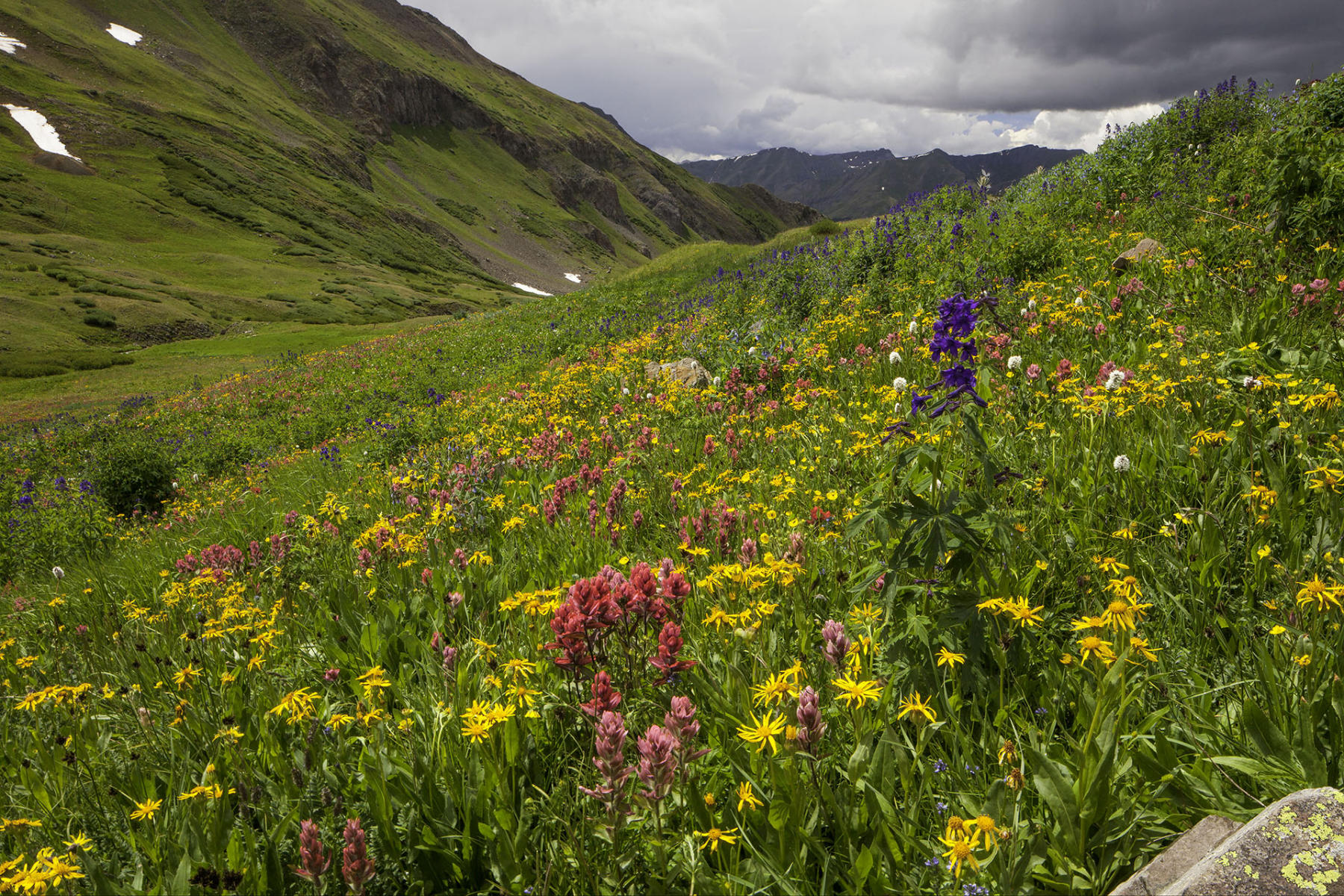 Stony Pass outside of Silverton, CO #0512
