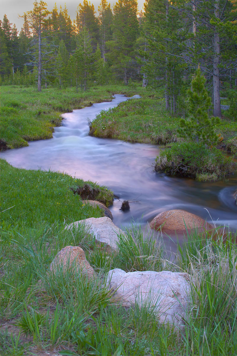 Big Horn Creek #116