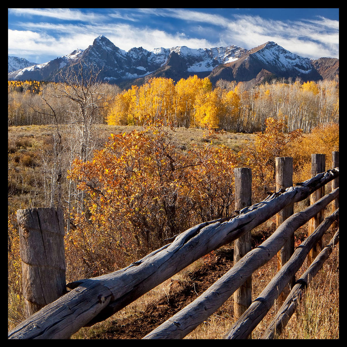 Dallas Divide II-
Outside of Ridgway, CO