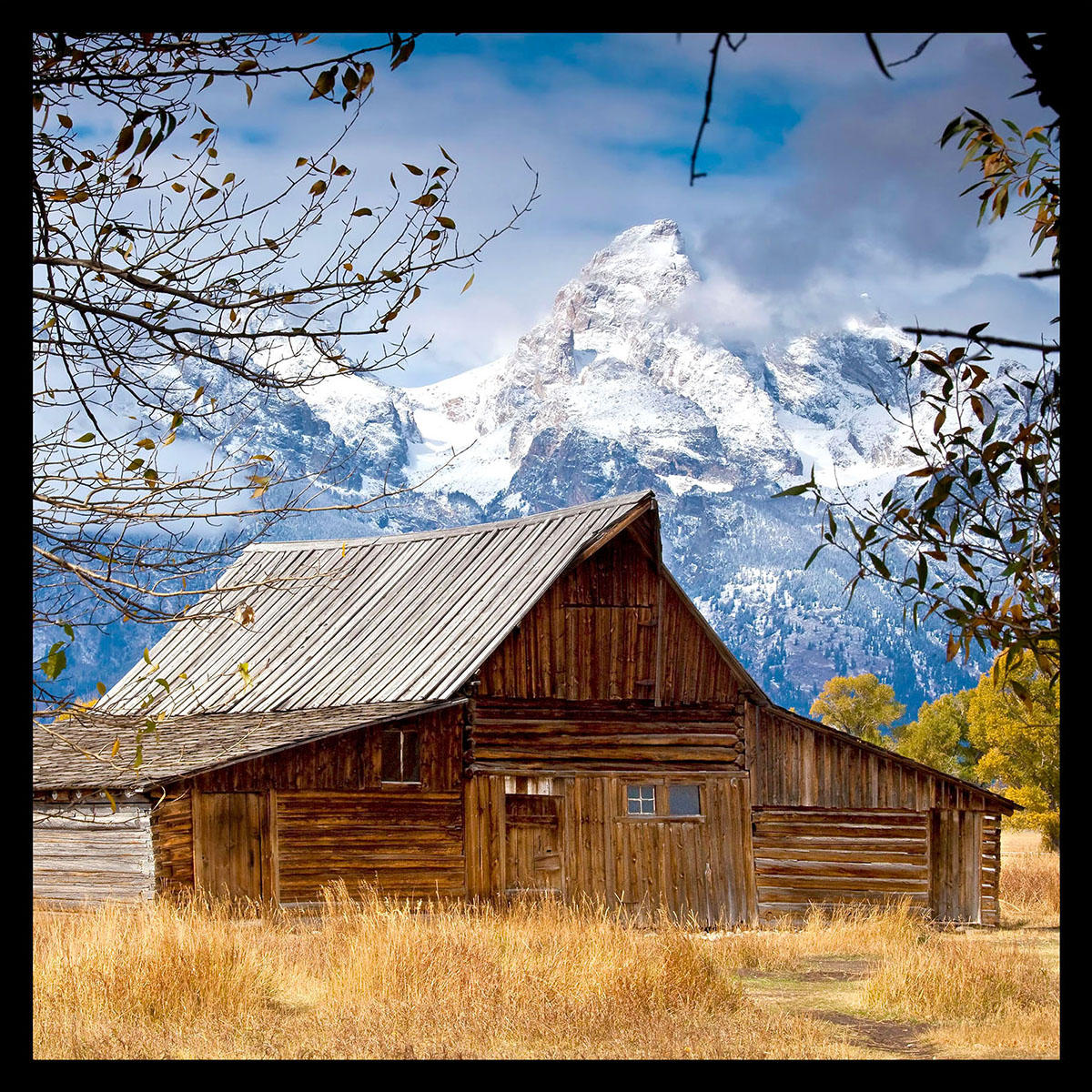 Morman Row-
Outside of Jackson, WY.