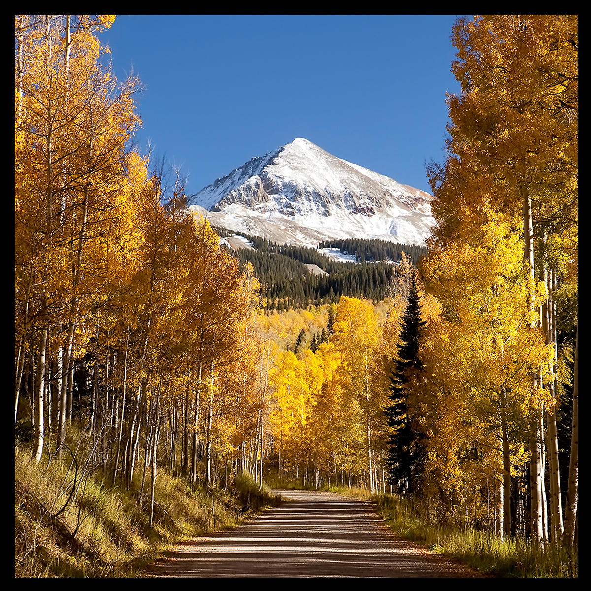 Lone Cone Mountain #5063
Near Telluride, CO