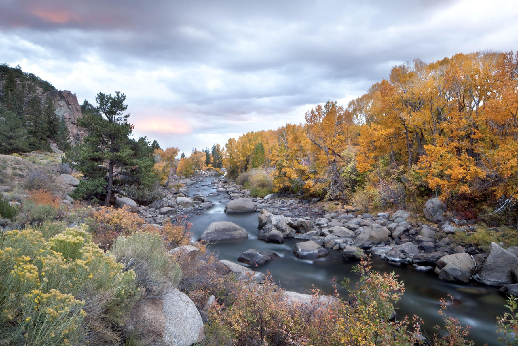 Arkansa River north of Buena Vista, CO #7255