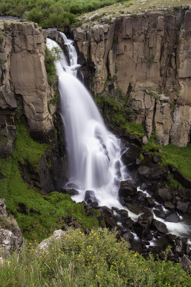 North Clear Creek Falls
near Lake City, CO
#0298