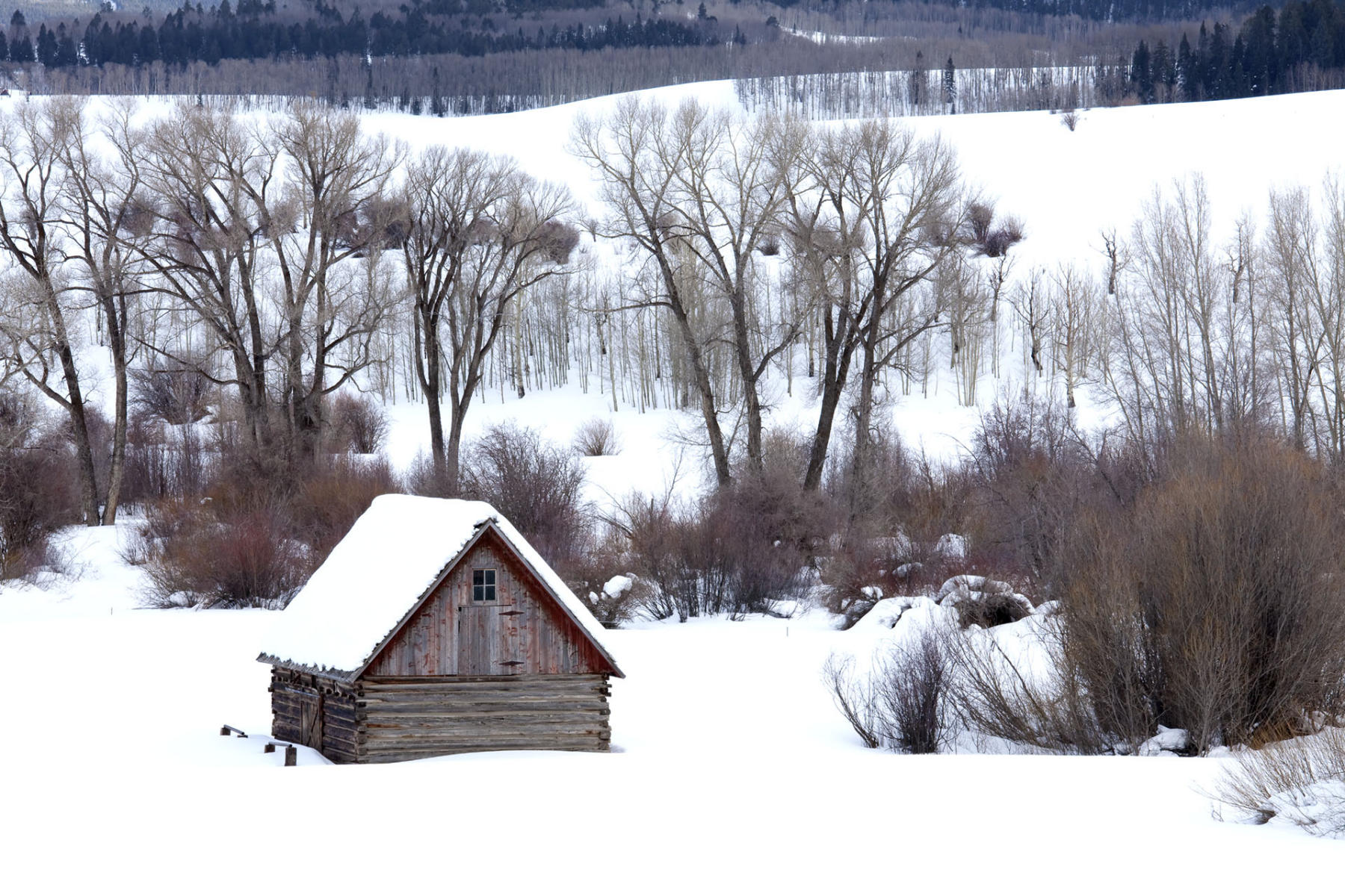 Gunnison Barn #3912