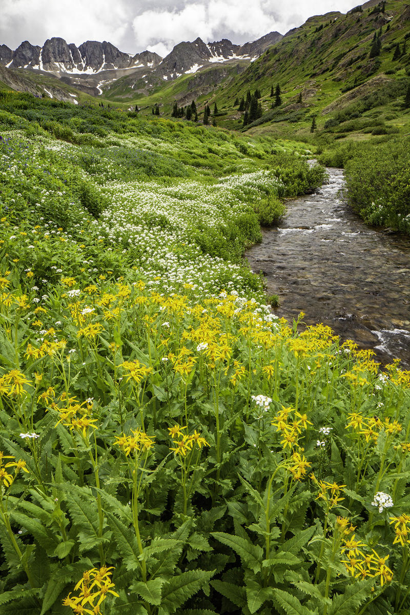 American Basin near Lake City, CO. #0280